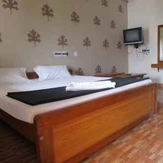 Hotel Golden Nest, Yelagiri 4